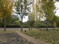 01-apple_orchard-market_in_Springdale_Utah-we_found_Fall