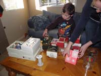 06-decorating_the_Christmas_Tree_while_the_bird_cooks