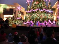 012-Wiregrass_tree-music_and_light_show
