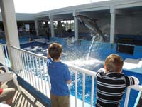 039-Kenny_watches_a_dolphin_jump