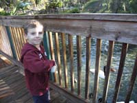 060-yeah-time_to_feed_some_ducks