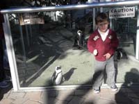 119-Kenny_and_the_penguins