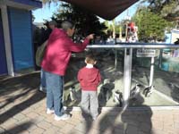 120-Baba_and_Kenny_enjoy_the_penguins