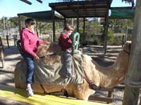 125-Baba_and_Kenny_riding_a_camel