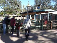 133-Kenny_would_not_go_inside_the_petting_zoo_but_he's_excited_to_feed_the_goats