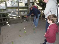 138-Kenny's_afraid_to_feed_the_parakeets