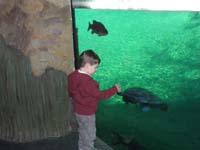 139-Kenny_reaching_out_to_a_turtle