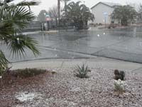 10-snowy_front_yard-the_snow_melted_quickly