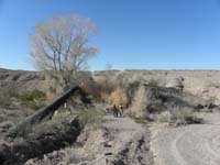 20-snack_at_natural_spring_under_pipe_with_water_flowing_and_Cottonwood_Tree