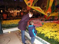 49-Mommy_and_Kenny_admire_the_flowers_at_The_Bellagio_Conservatory