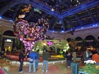 50-The_Bellagio_Conservatory