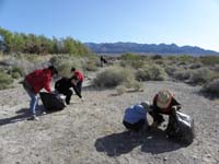 12-picking_weeds_at_Desert_National_Wildlife_Refuge_with_Friends_of_Nevada_Wilderness