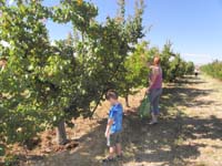 12-pouty_Kenny_and_annoyed_Mommy-apricots_are_not_ready_for_picking