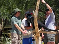 15-Daddy_up_close_and_personal_to_the_Bearcat