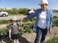 31-Gilcrease_Orchards-Baba_and_Kenny_picking_carrots