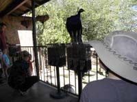 39-they_even_have_peacocks_and_goats_to_feed