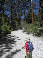 06-Kenny_hiking_in_the_forest