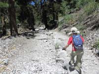 08-Kenny_balancing_on_the_rock_obstacles