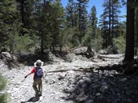 09-Kenny's_getting_bored_with_the_trail_so_Daddy_led_him_sooner_to_the_wash-lots_of_erosion