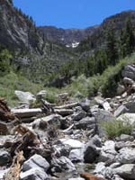 11-now_in_the_wash_leading_to_Big_Falls-start_of_the_avalanche_field_debris