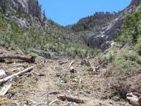 21-scenery_with_Big_Falls_in_distance