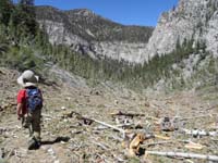 44-Kenny_and_the_avalanche_field