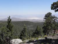 12-desert_view_with_forest_and_Kenny