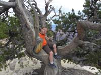 12-Kenny_just_hanging_out_in_a_tree