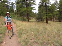 38-lovely_trail-trees_and_wildflowers