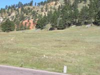 24-time_to_visit_the_prairie_dog_town_on_the_way_out_of_the_park