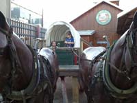 08-fun_with_a_horse_drawn_wagon