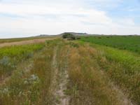 17-Joel_Toby_and_Daddy_went_on_hike_while_others_stayed_behind_and_played