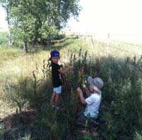 20-Sierra_and_Kenny_having_fun_in_the_grass_while_Daddy_Toby_and_Joel_hike