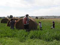 22-now_the_kids_want_to_be_on_the_hay_bale
