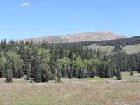 20-Delano_Peak_from_Big_John_campground