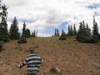 32-sparse_trees_due_to_high_elevation