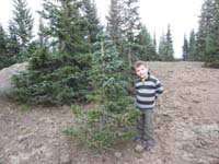 39-Kenny_wanted_a_picture_next_to_this_tree-his_special_Christmas_tree
