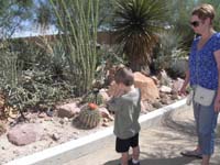 32-Kenny_uses_his_camera_to_take_pictures_of_blooming_cactus