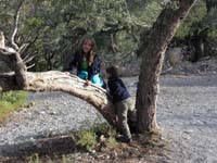 03-kids_found_a_good_tree_to_climb