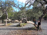 04-so_who_is_going_to_reach_the_end_of_the_branch
