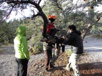 17-Kenny_sits_in_the_tree-although_Alex_somehow_got_stuck_and_needs_help_down