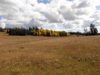 27-time_for_Fall_colors
