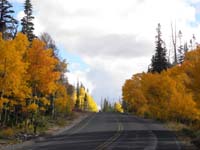 28-pretty_colors_along_road