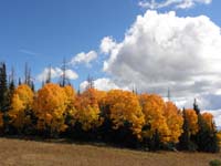 32-more_Fall_colors_with_clouds-really_pretty
