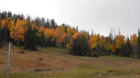 39-lots_of_color_along_road