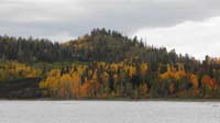 47-Fall_colors_with_black_lava_along_Navajo_Lake
