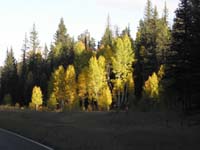 03-lots_of_Fall_colors_along_the_road