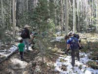 09-hiking_through_the_aspens_and_little_bit_of_snow