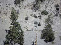 17-Brewster_family_continued_hiking_to_make_it_a_loop