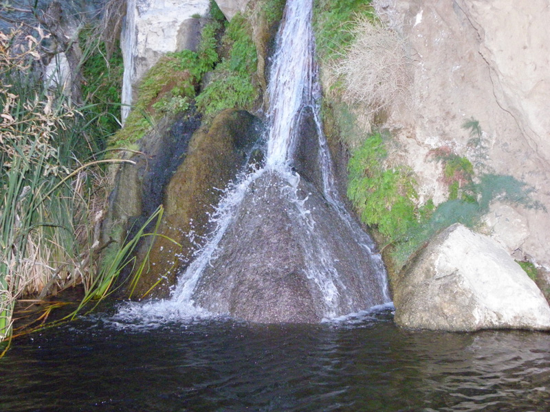 126-Darwin_Fall